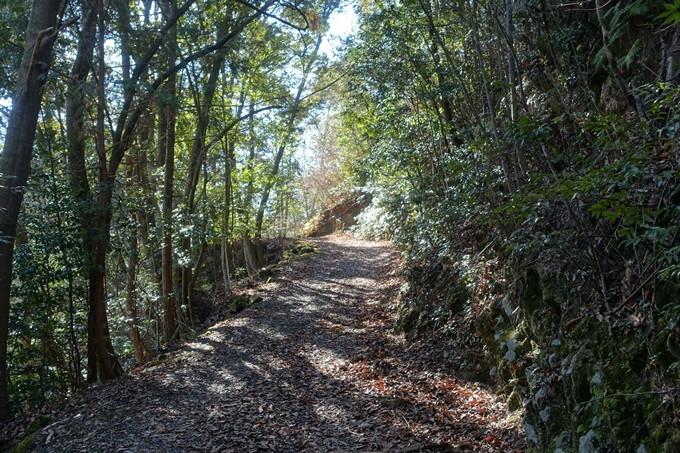 瑞巌寺　廃寺跡　No57