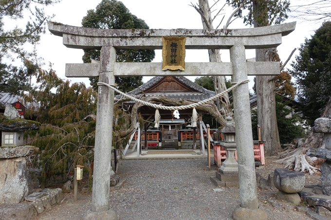 梅田神社_亀岡市　No3