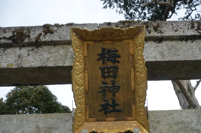 梅田神社_亀岡市　No4