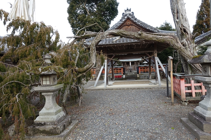 梅田神社_亀岡市　No5