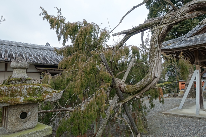 梅田神社_亀岡市　No24