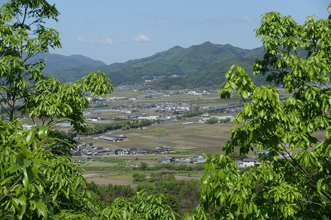 磐榮稲荷大明神_晴明神社　No15