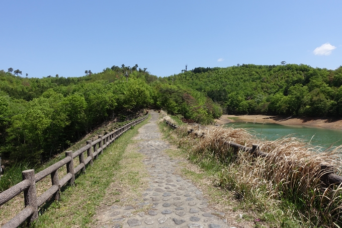 磐榮稲荷大明神_晴明神社　No76