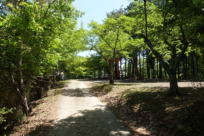 磐榮稲荷大明神_晴明神社　No89