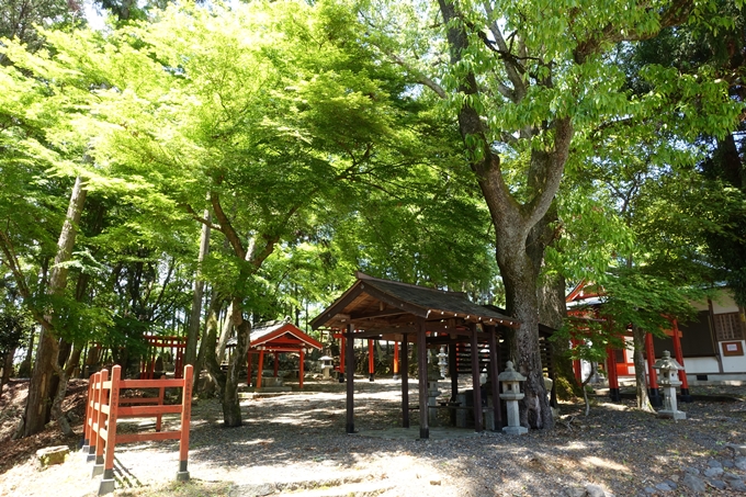 磐榮稲荷大明神_晴明神社　No25