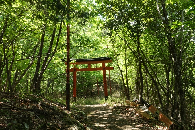 磐榮稲荷大明神_晴明神社　No21