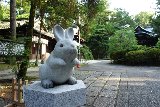 夏越の大祓_岡崎神社_2021　No6