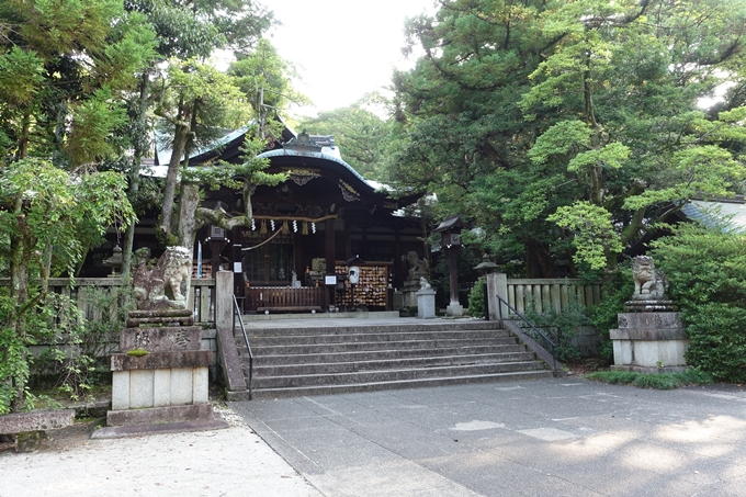 夏越の大祓_岡崎神社_2021　No7