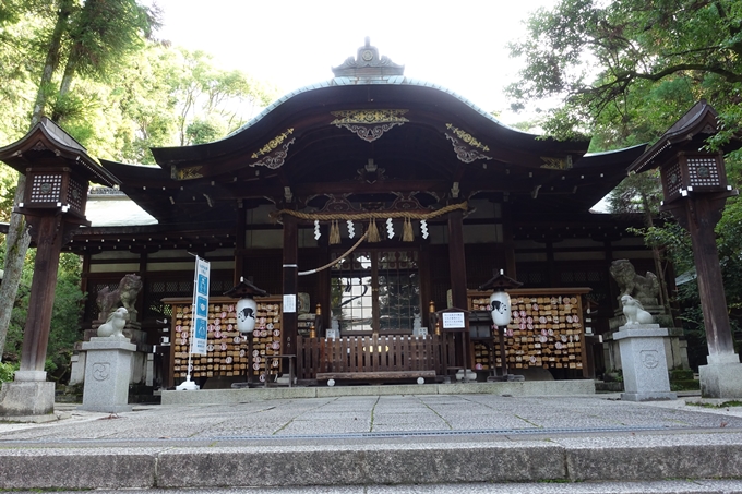 夏越の大祓_岡崎神社_2021　No8