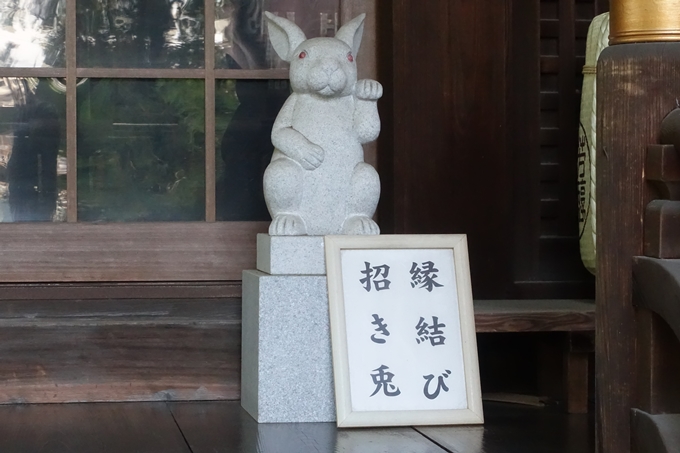 夏越の大祓_岡崎神社_2021　No10