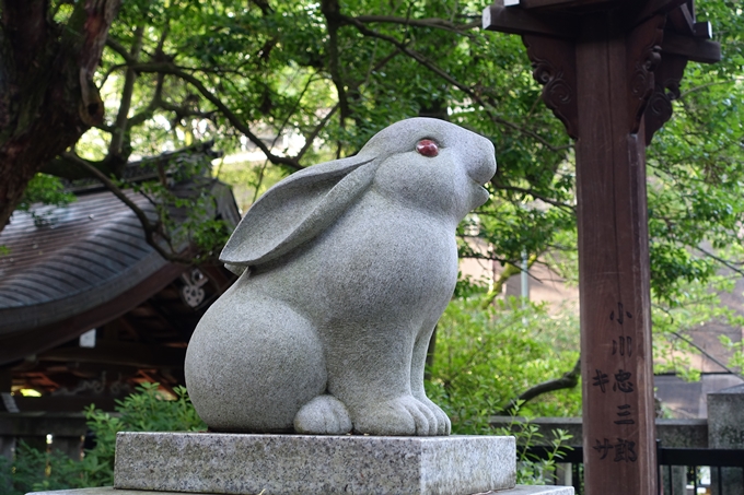 夏越の大祓_岡崎神社_2021　No14