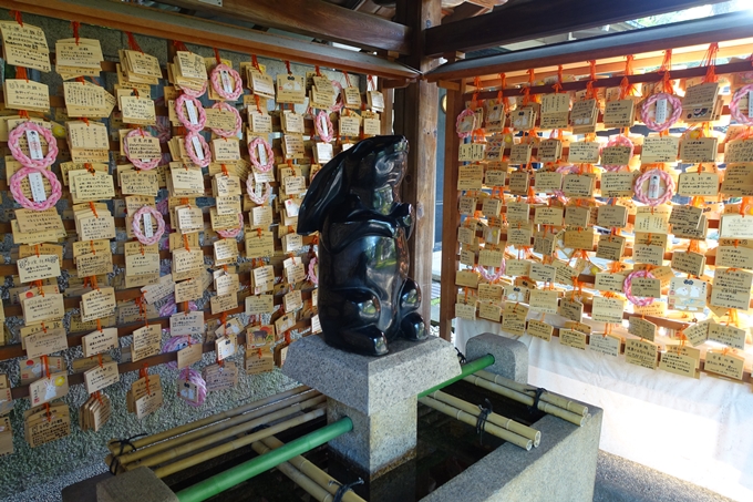 夏越の大祓_岡崎神社_2021　No16