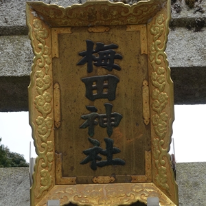 梅田神社(亀岡市) 榁の木とイボ神様｜ガイドブックに載らない京都