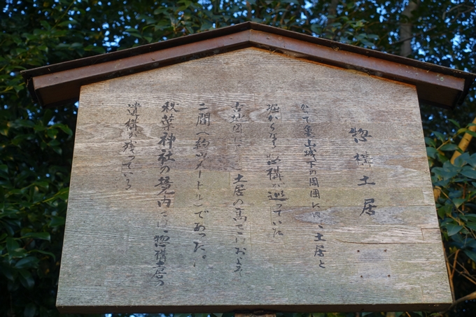 秋葉神社_亀岡市紺屋町　No17