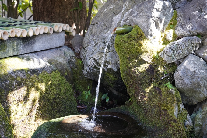 賀茂波爾神社_赤の宮　No18