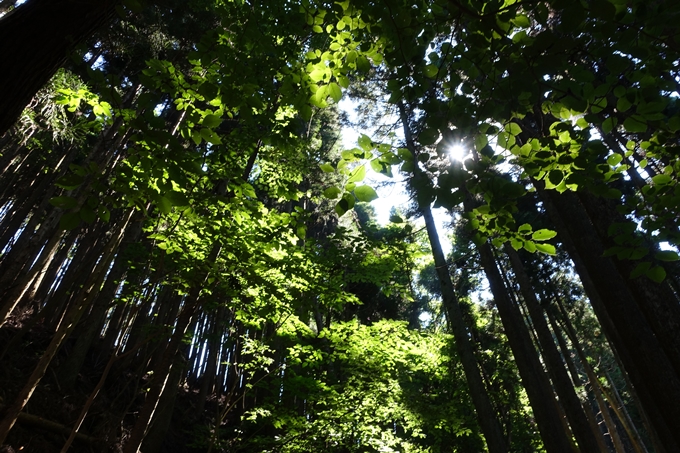 愛宕山　中山再次郎像跡　No6