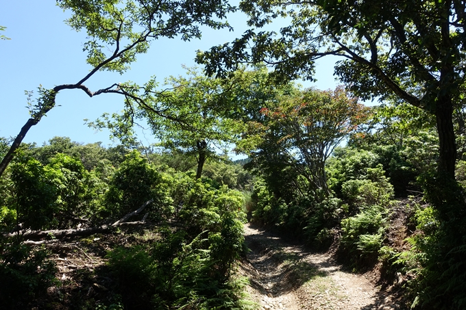 愛宕山　中山再次郎像跡　No13