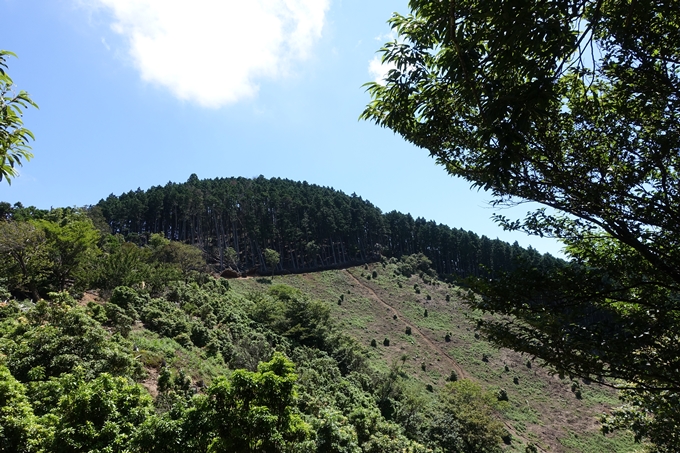 愛宕山　中山再次郎像跡　No16