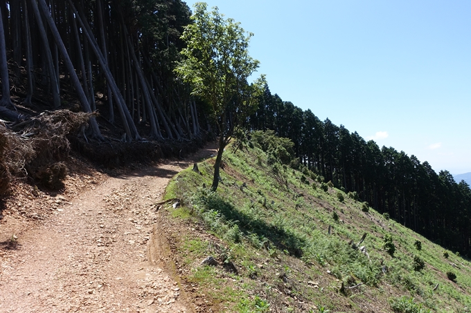 愛宕山　中山再次郎像跡　No20