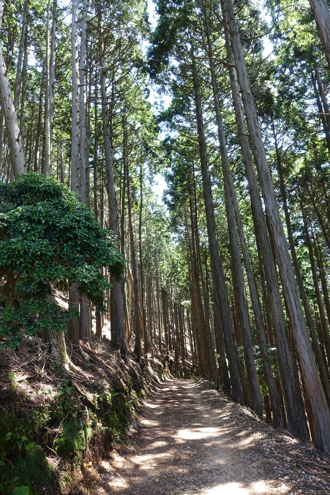 愛宕山　中山再次郎像跡　No22