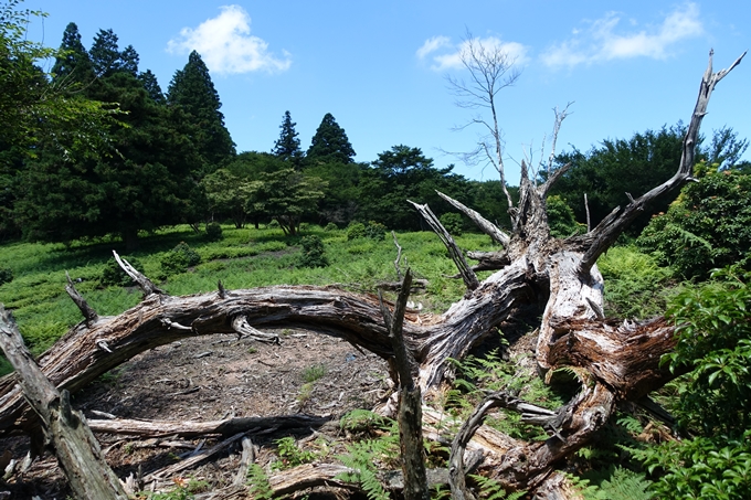 愛宕山　中山再次郎像跡　No37