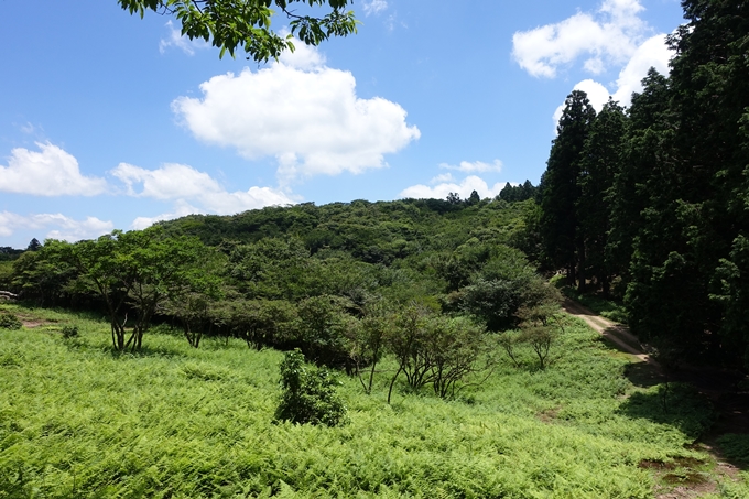 愛宕山　中山再次郎像跡　No50