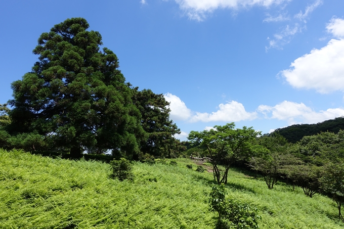 愛宕山　中山再次郎像跡　No29