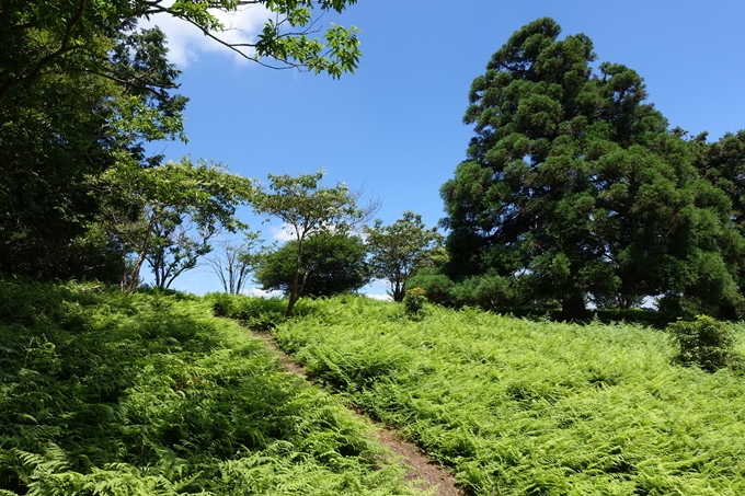 愛宕山　中山再次郎像跡　No27