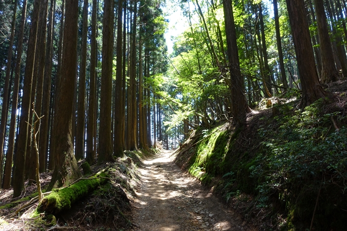 愛宕山　中山再次郎像跡　No54