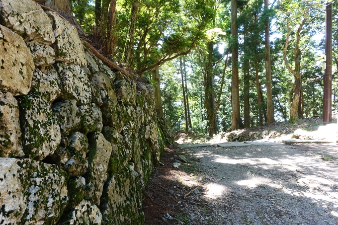 愛宕山　中山再次郎像跡　No65