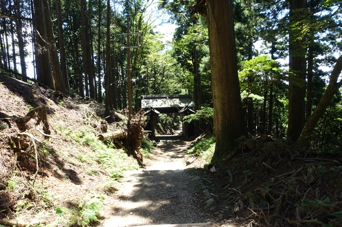 愛宕山　中山再次郎像跡　No66