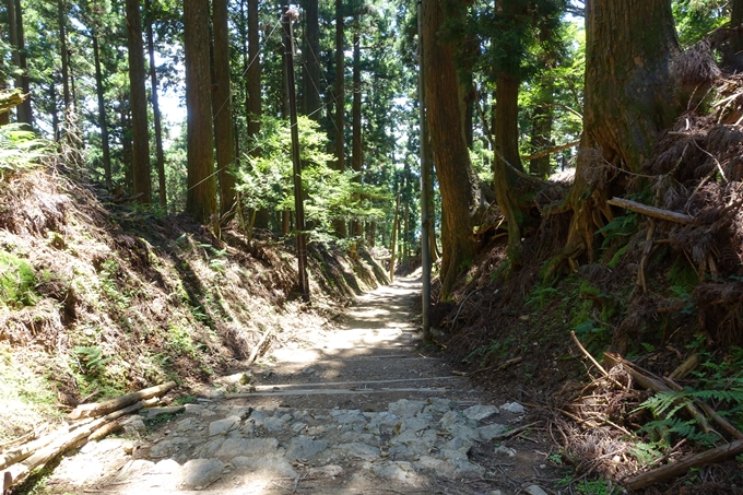 愛宕山　中山再次郎像跡　No67