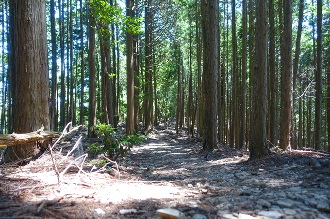 愛宕山　中山再次郎像跡　No76