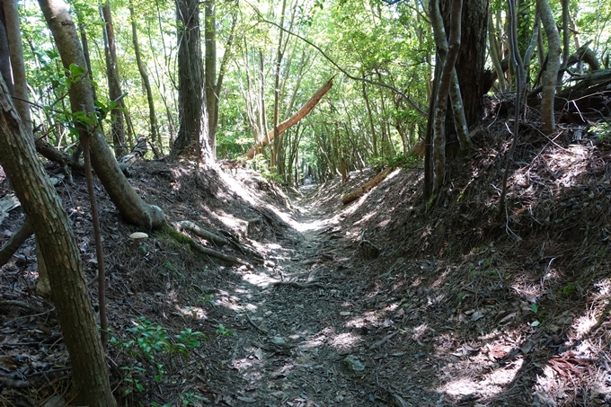 愛宕山　中山再次郎像跡　No80