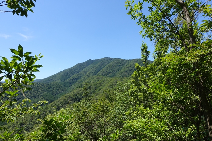 愛宕山　中山再次郎像跡　No84