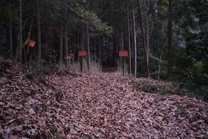 愛宕山_神明峠_積雪_2021　No17