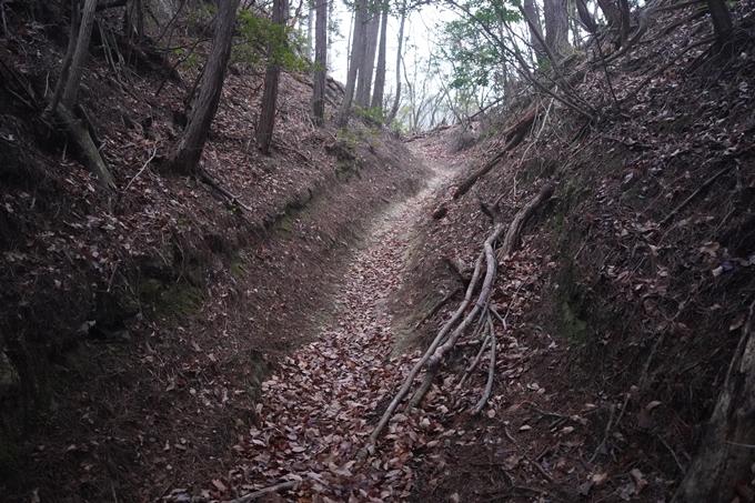 愛宕山_神明峠_積雪_2021　No20