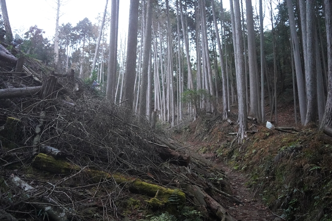 愛宕山_神明峠_積雪_2021　No21