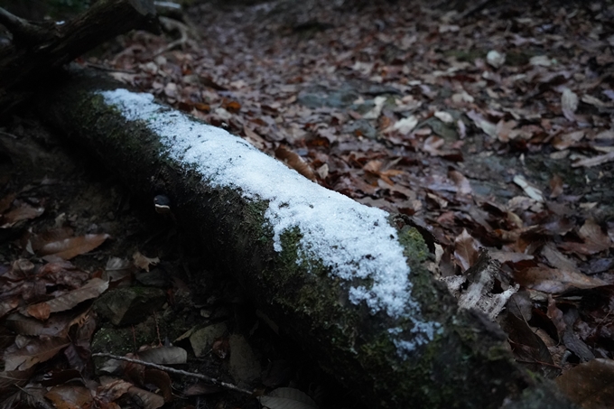 愛宕山_神明峠_積雪_2021　No22