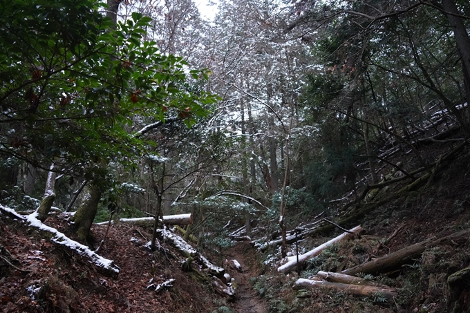 愛宕山_神明峠_積雪_2021　No23