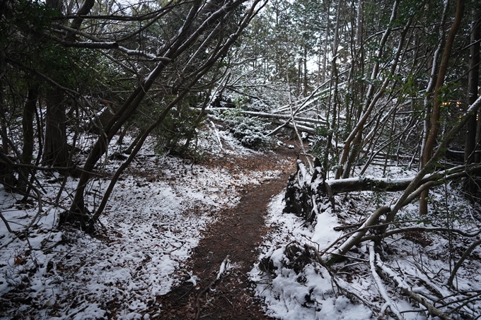 愛宕山_神明峠_積雪_2021　No25