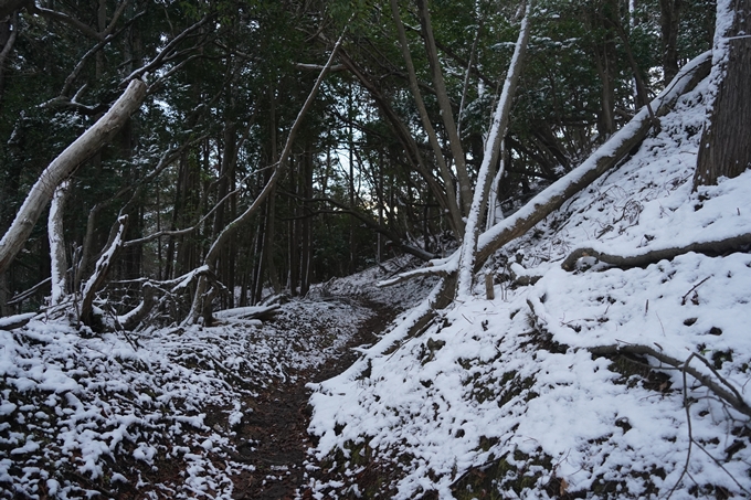 愛宕山_神明峠_積雪_2021　No29