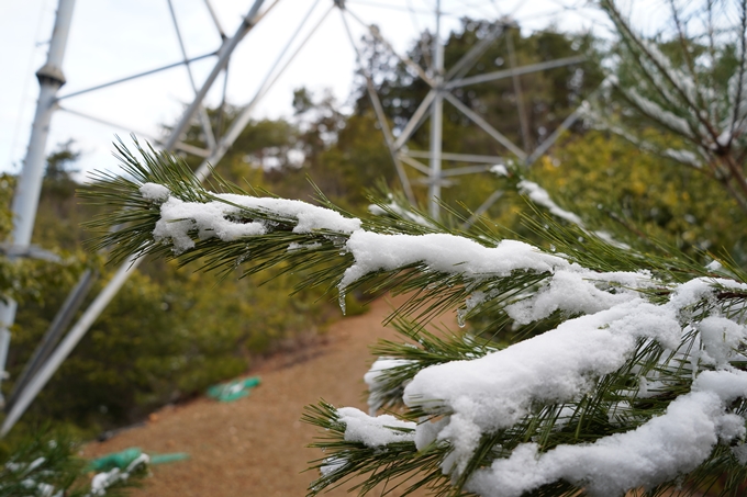 愛宕山_神明峠_積雪_2021　No35