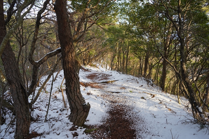 愛宕山_神明峠_積雪_2021　No42