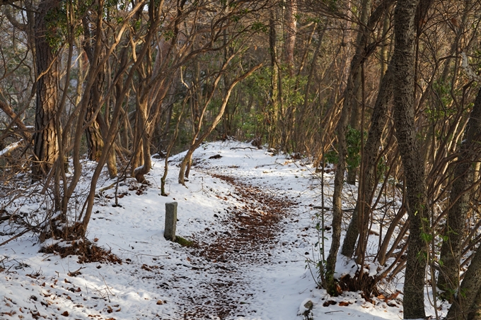 愛宕山_神明峠_積雪_2021　No46