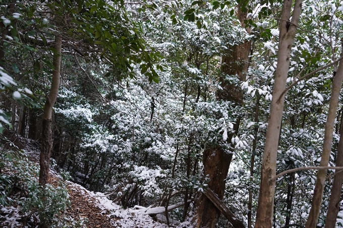 愛宕山_神明峠_積雪_2021　No47