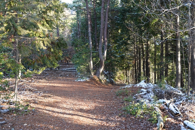 愛宕山_神明峠_積雪_2021　No48