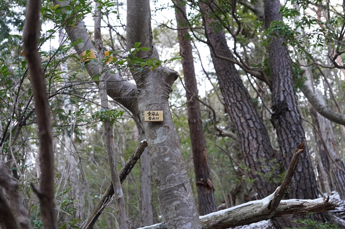 愛宕山_神明峠_積雪_2021　No56