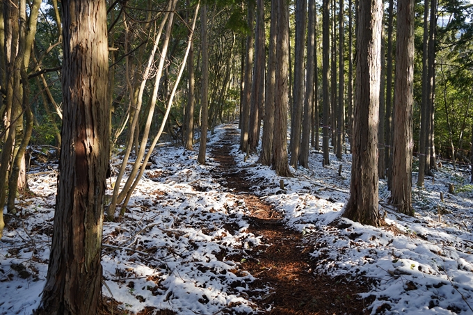 愛宕山_神明峠_積雪_2021　No57