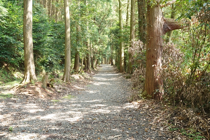 松尾神社_西別院　No9